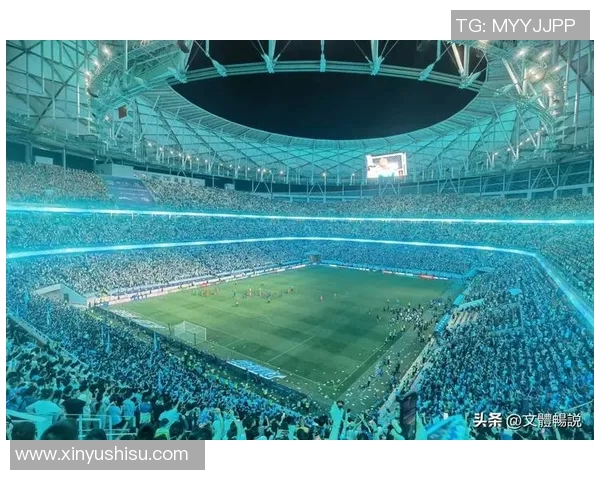 世界知名足球巨星赛场辉煌人生故事与无数球迷热血情怀交织